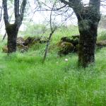 Imagen La Quinta Encantada