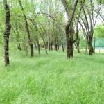 Imagen La Quinta Encantada